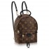 Рюкзак Louis Vuitton Monogram canvas Palm Springs Backpack Mini M41562